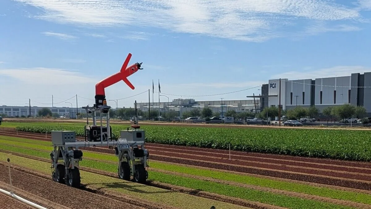 Company launched by ASU alums develops AI robots to help with farmwork